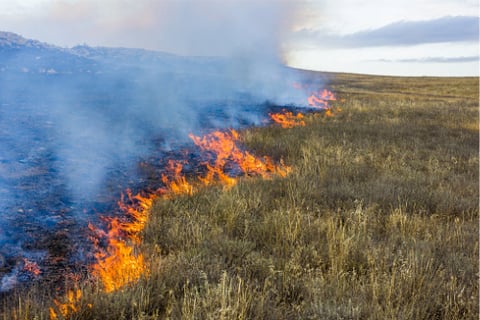 How has the insurance sector reacted to mandatory climate change reporting?