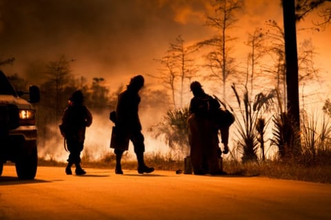 The resilience triangle: Mitigating global disaster losses