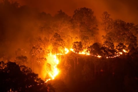 Three key contributors to wildfire severity