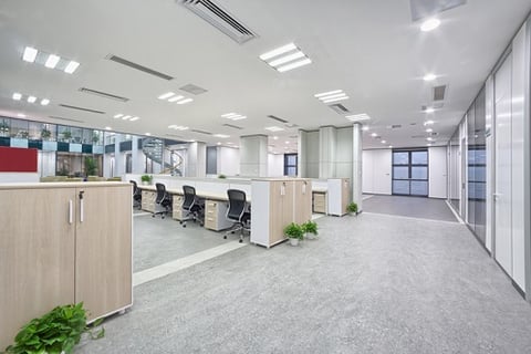 Lockton expands into Tasmania with new office in Hobart