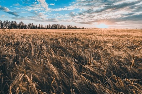 How insurance is responding to climate change