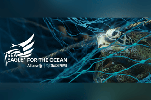 Allianz teams up with global marine conservation group