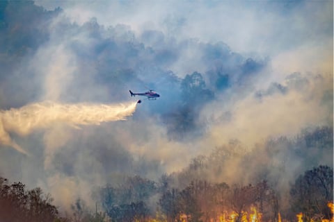 Zurich reports on lessons learned from devastating Tasmanian bushfires