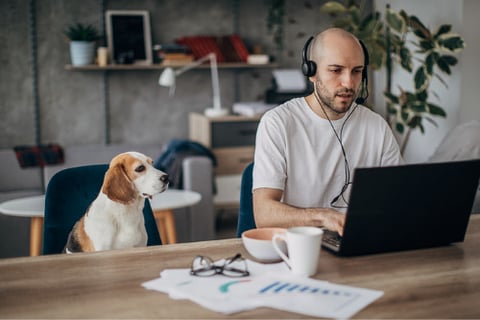 nib introduces flexible work arrangement