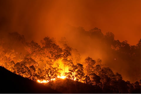NRMA Insurance launches film and book on Australian bushfires