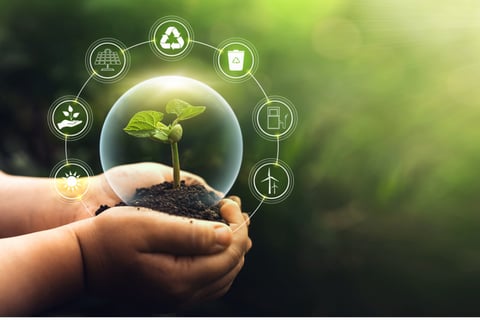 Allianz unveils sustainability plans