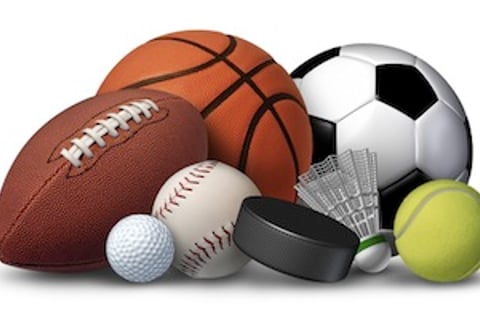 Mass Merchandising in sports & rec: Small business that really adds up