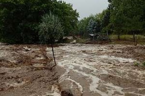 FEMA under fire for ‘Kafka-esque’ flood insurance views