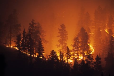 Wildfire risk: The long-term impact on insurance