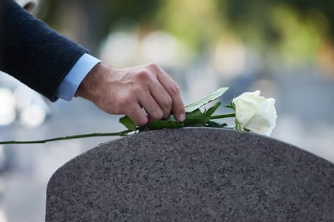 AMP charged life insurance to dead clients