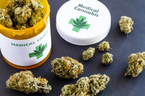 Firm introduces first guaranteed issue insurance product covering medical cannabis