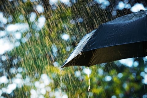 Insurance ombudsman advises on damaging weather