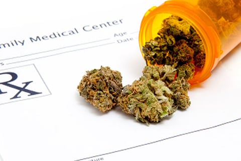 Marijuana insurance industry growing like weeds