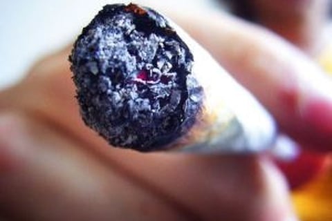 Weed legal firm goes global