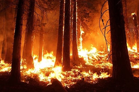 Insurance Information Institute: Wildfires are creating difficult challenges for insurers