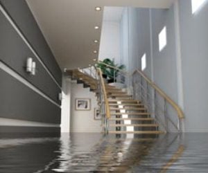 Sump pumps may be source of water claims, brokers say