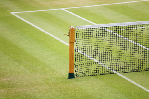 Wimbledon 2020 cancellation: "We're fortunate to have the insurance"
