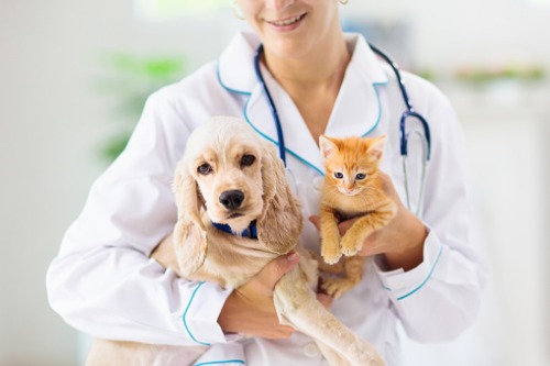 Pethealth to combine with Crum & Forster A&H