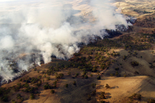 GIC takes aerial wildfire photographs to assist insurers