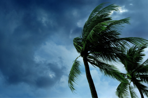 AGCS report predicts an above-average 2021 hurricane season