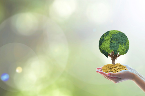 Solvency II reform could spur insurers’ interest in ESG assets – Fitch