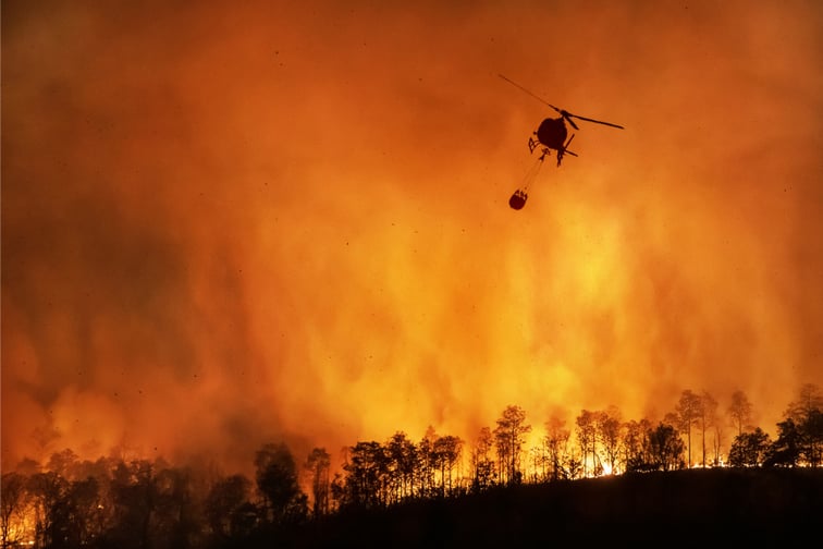 California state agencies launch new wildfire insurance framework