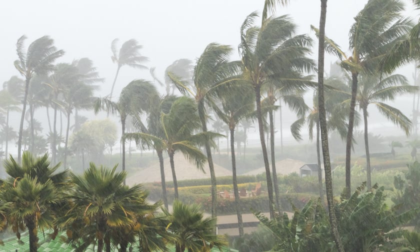 Homeowners unprepared for hurricane season – survey