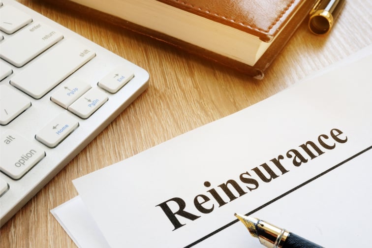 What is a Florida reinsurance all about?
