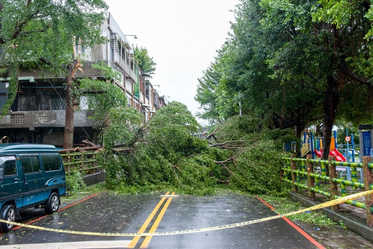 Hurricane Ian: Estimated insurance losses revealed
