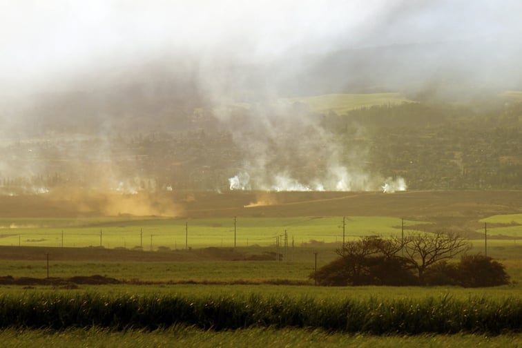 Maui insured losses revealed – how bad are they?
