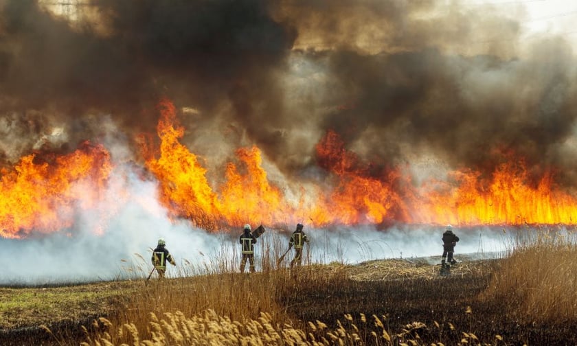 Home insurance policies need to change to address rising wildfire-related losses - report
