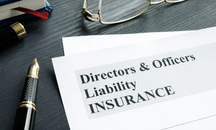 Insurers reassess D&O coverage as global risks rise