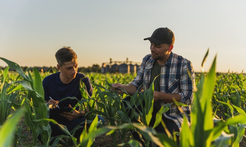 Crop insurance holding back some US farmers from climate change adaption