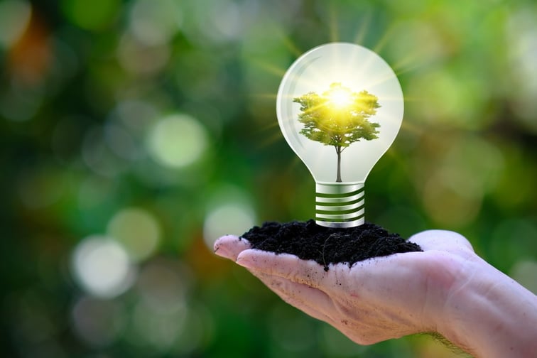 QBE unveils sustainable energies unit