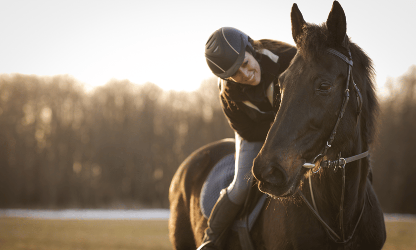 Revealed – leading causes of horse insurance claims