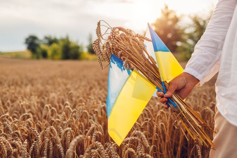 Insurance scheme on the horizon for grain ships plying the Black Sea into and out of Ukraine