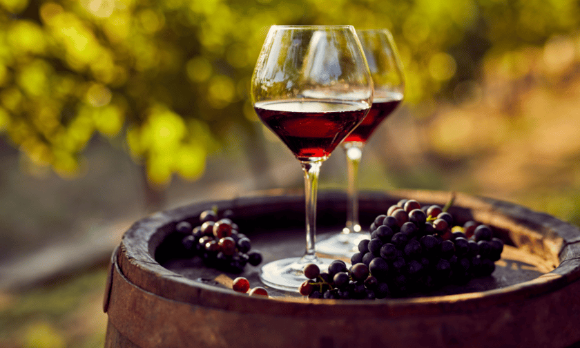 Wine makers' insurance – behind the scenes of a new solution