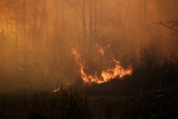 Over 100 new wildfires spark in BC