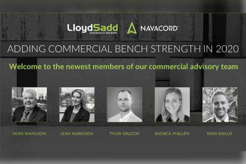 Lloyd Sadd adds significant commercial bench strength in 2020