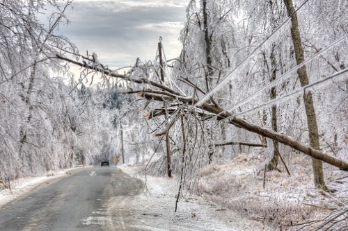 Manitoba to provide disaster assistance for October snowstorm damage