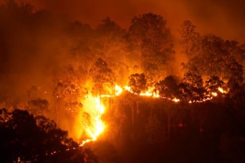 The Co-operators' wildfire preparedness campaign calls on homeowners
