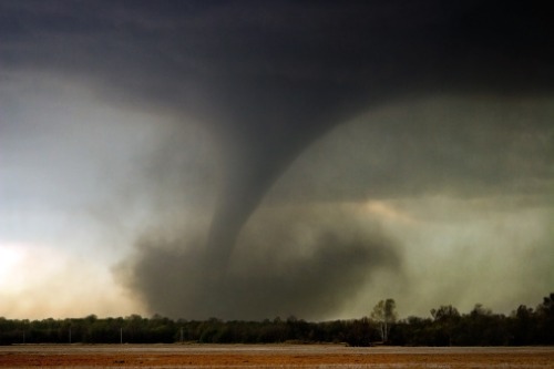 Late-season tornado hits southern Ontario, knocks out power