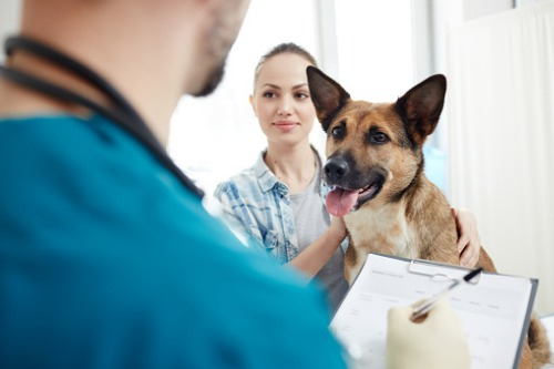 New pet insurance brand Furkin launches