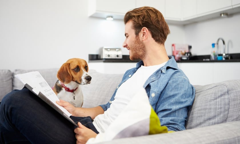 Canada's top pet insurance providers in 2022