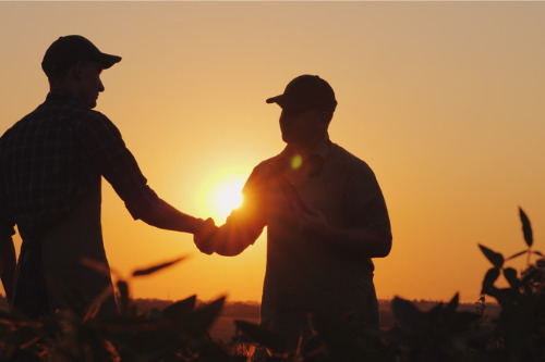 Commonwell Mutual, Red River Mutual collaborate on new agriculture-focused MGA