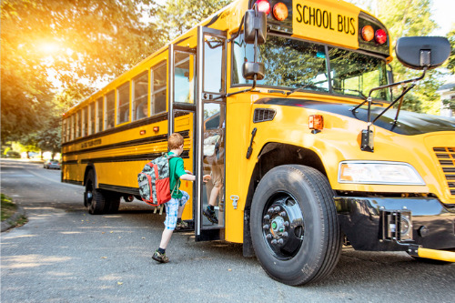 Rising premiums could force Alberta school buses off the road, industry association warns