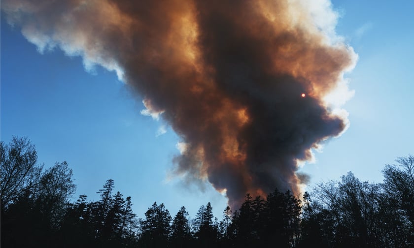Unprecedented wildfires may drive insurance premium hikes – Desjardins CEO