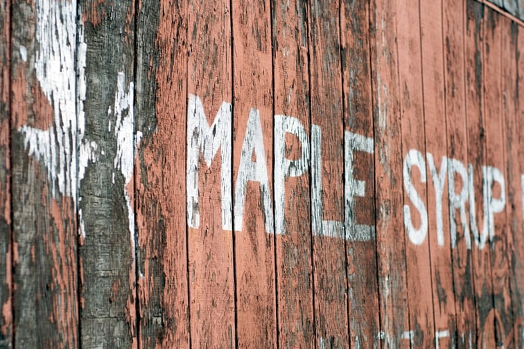 New Brunswick maple syrup producers get new insurance program