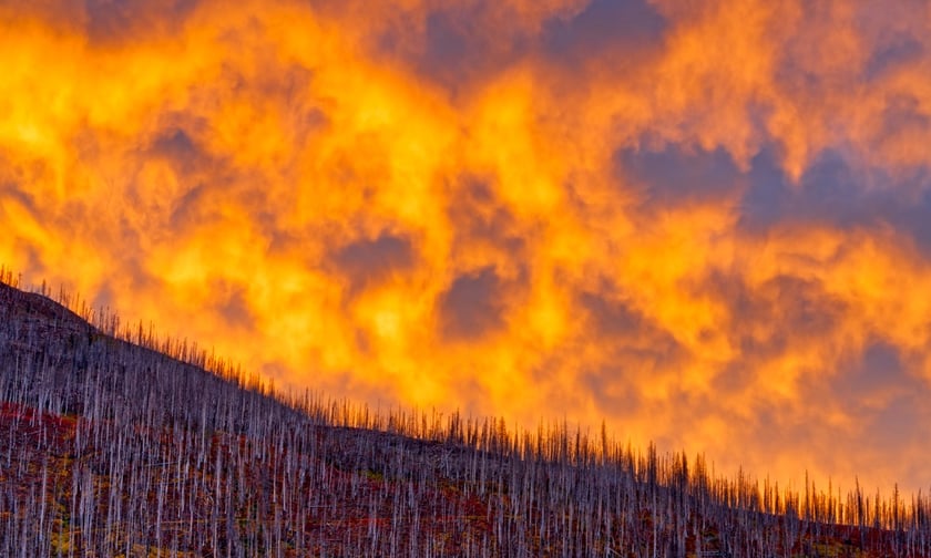 Jasper businesses shift focus to reopening as fire risks fade