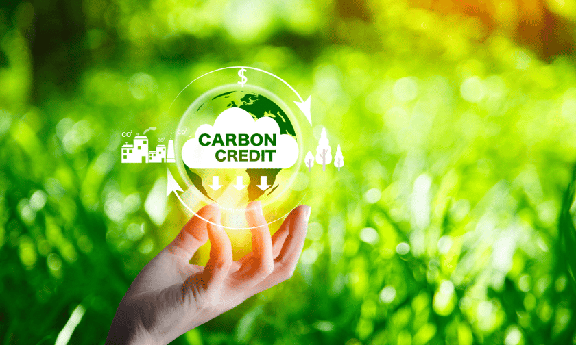 Well Done Foundation unveils insured carbon credits